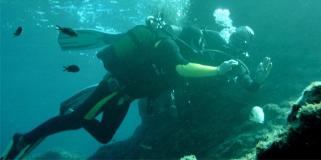  Bautismo y entrenamiento de buceo 